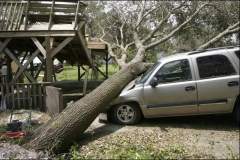 Copy-of-Toms-car