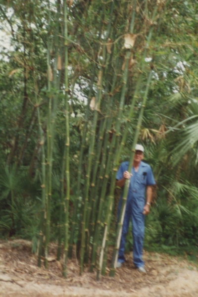 30a3