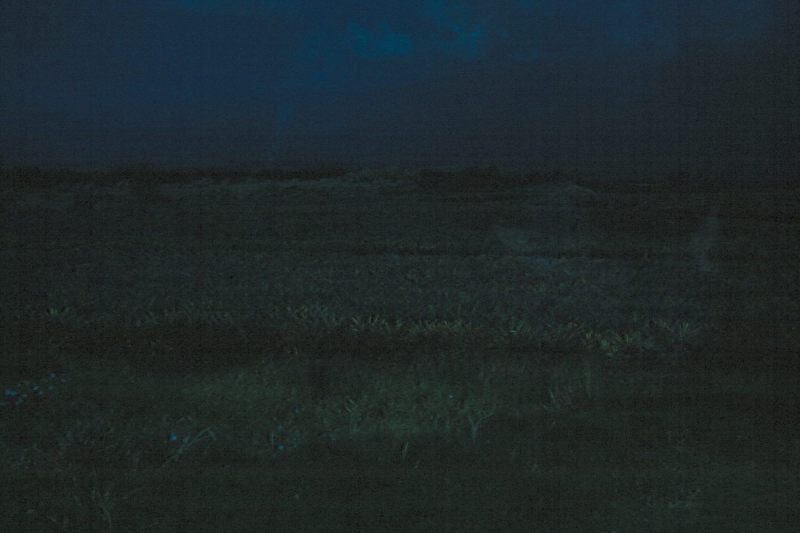 Scan2482
