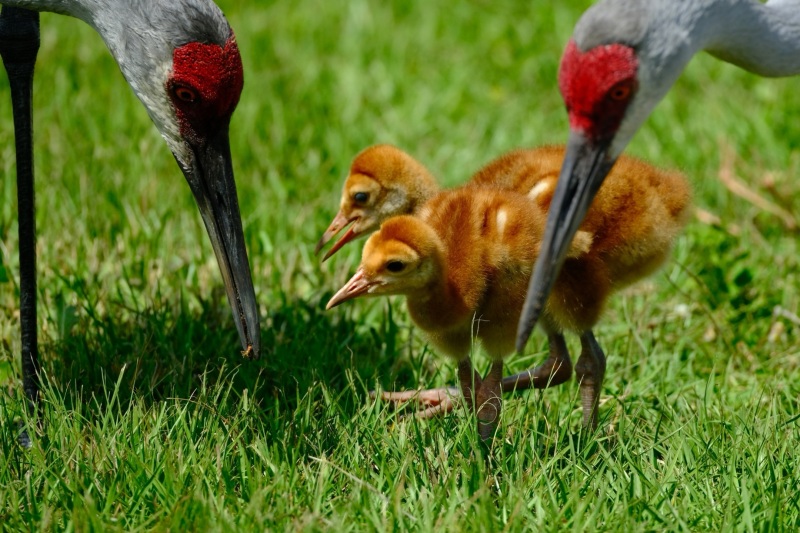 240323_Noah_family